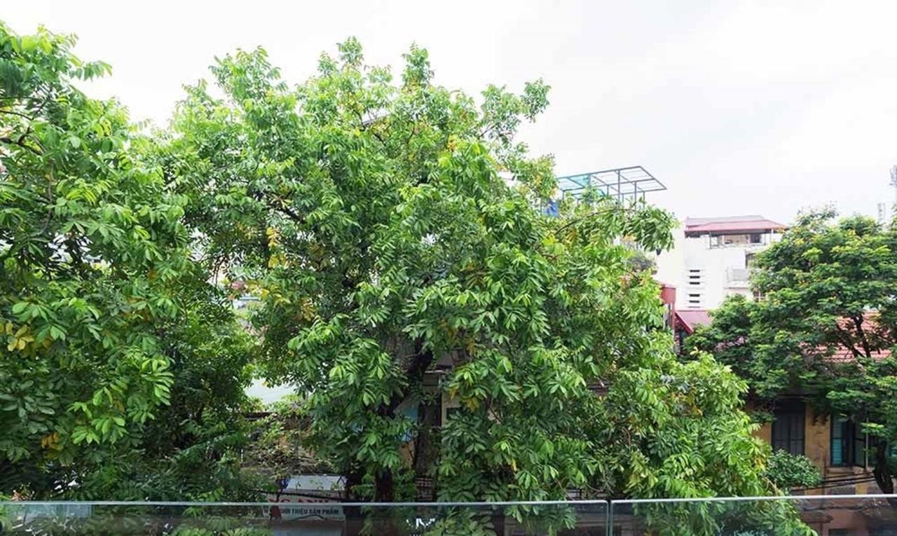 Ali House Lejlighed Hanoi Eksteriør billede